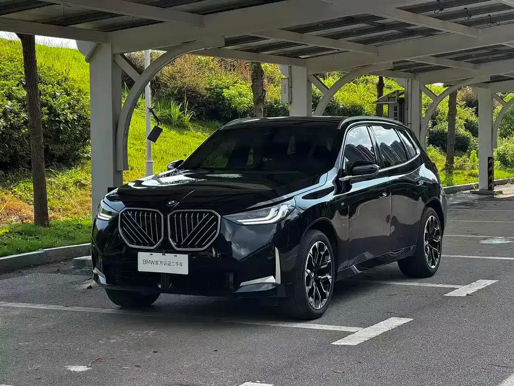 BMW X3 — фото 1