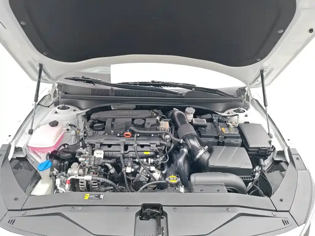 Hyundai Fista — фото 10