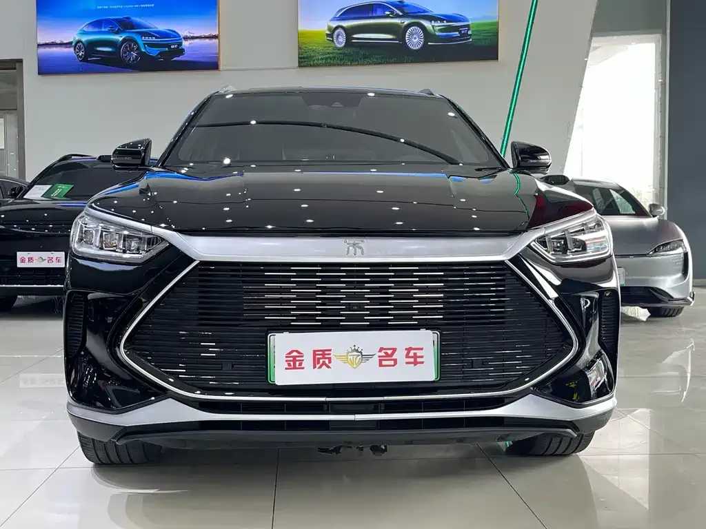 BYD PLUS New Energy — фото 6