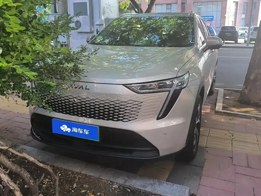 Haval Xiaolong MAX — фото 10