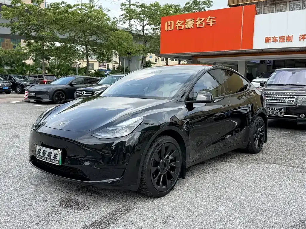 Tesla Model Y — фото 1