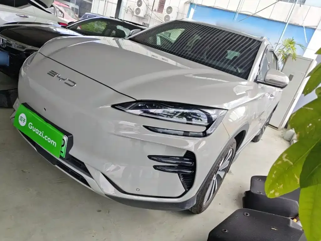 BYD PLUS New Energy — фото 1