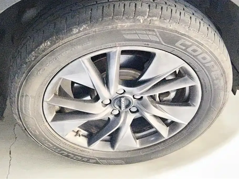Haval H6 New Energy 2023 из CN, фото 10