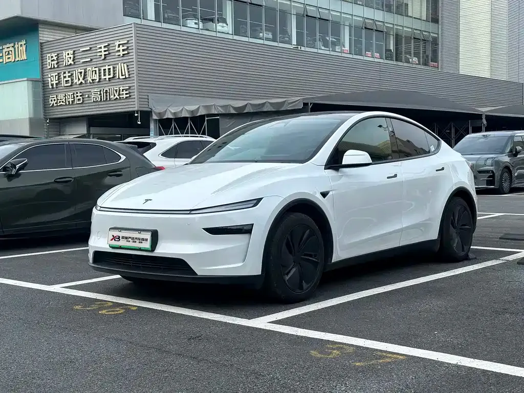 Tesla Model Y — фото 1