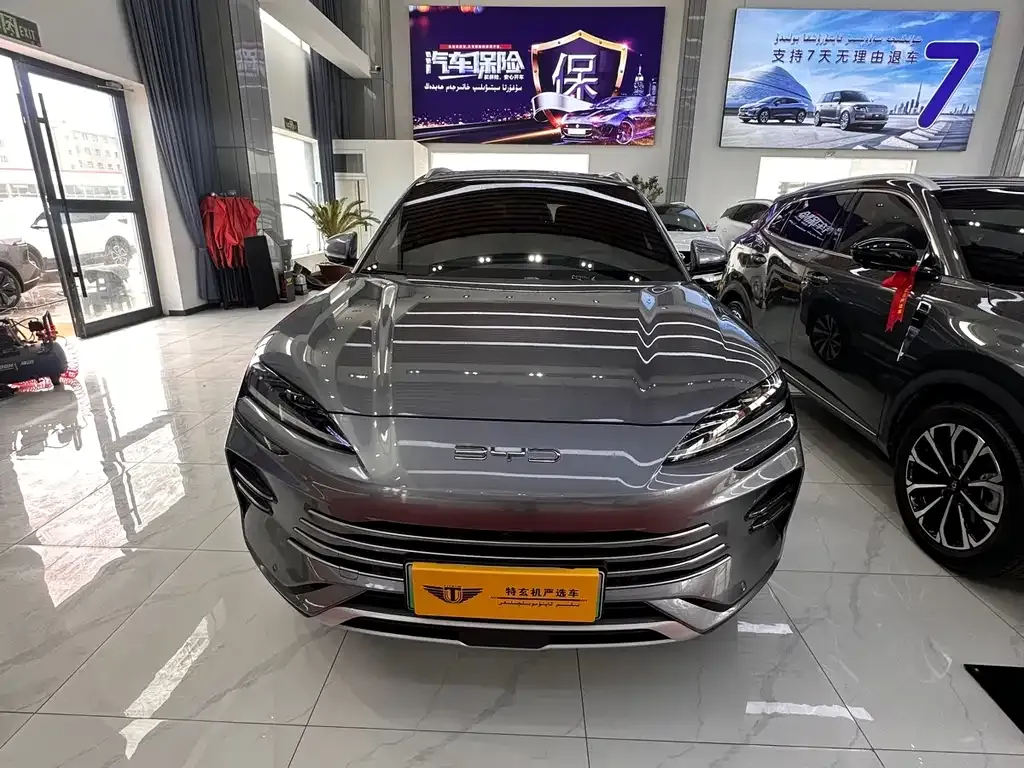 BYD PLUS New Energy — фото 1