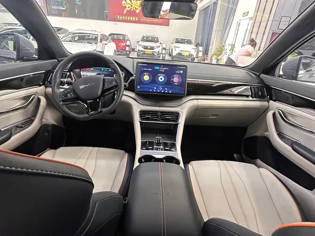 BYD PLUS New Energy — фото 4