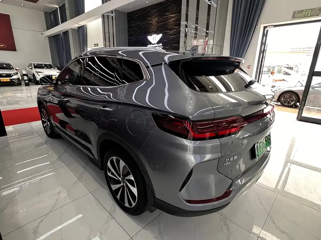 BYD PLUS New Energy — фото 10