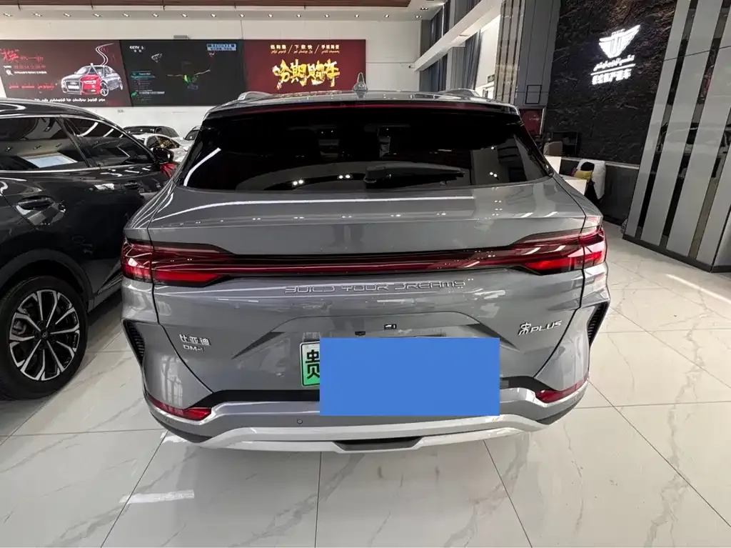 BYD PLUS New Energy — фото 6