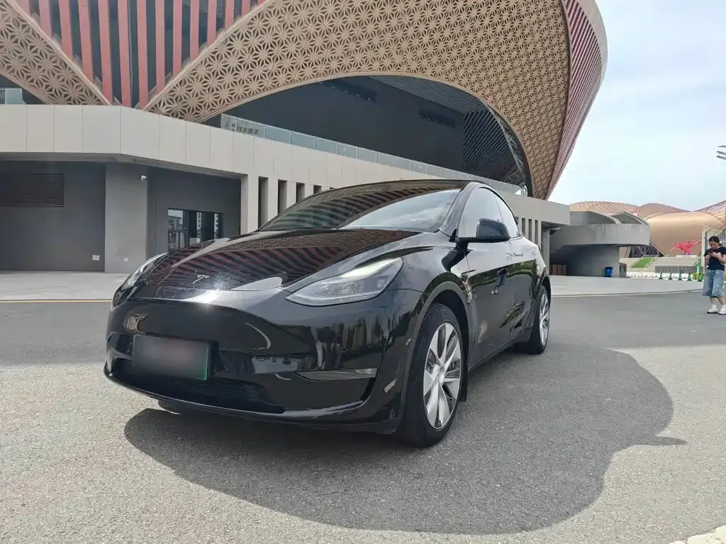 Tesla Model Y — фото 9