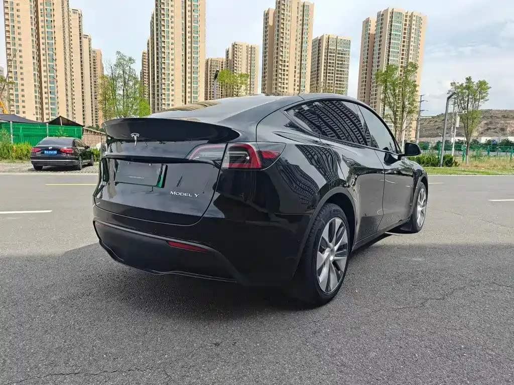 Tesla Model Y — фото 10
