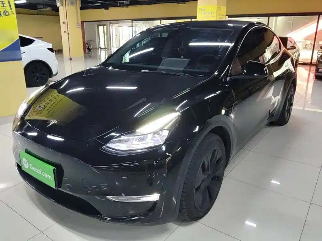 Tesla Model Y — фото 8