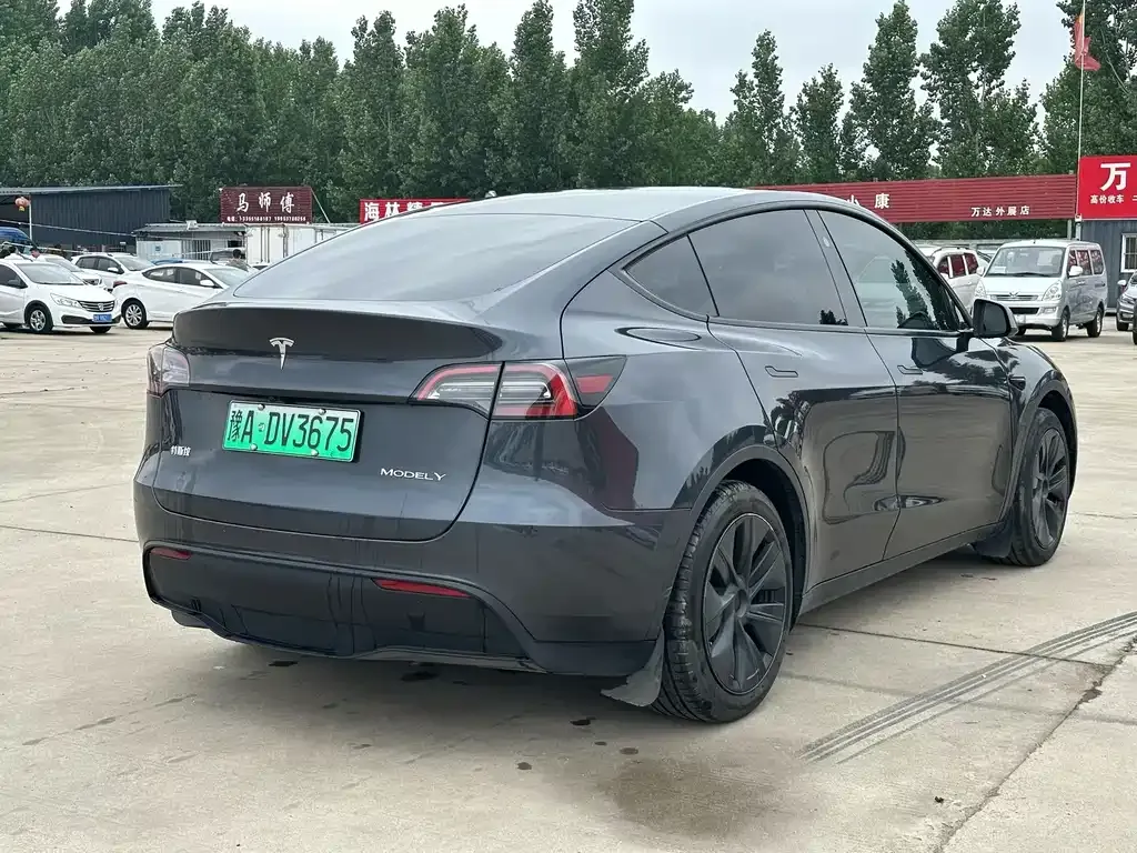 Tesla Model Y — фото 3