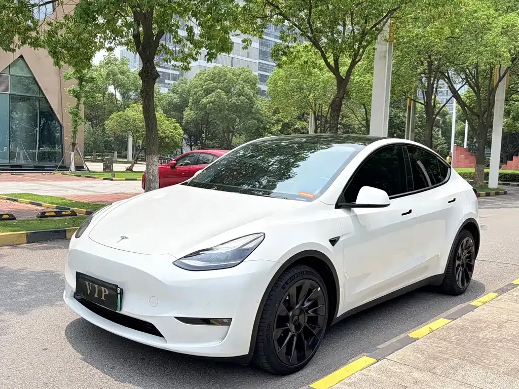 Tesla Model Y — фото 1