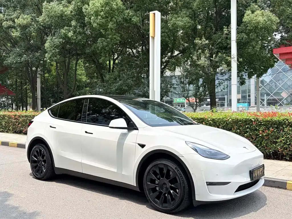 Tesla Model Y — фото 7