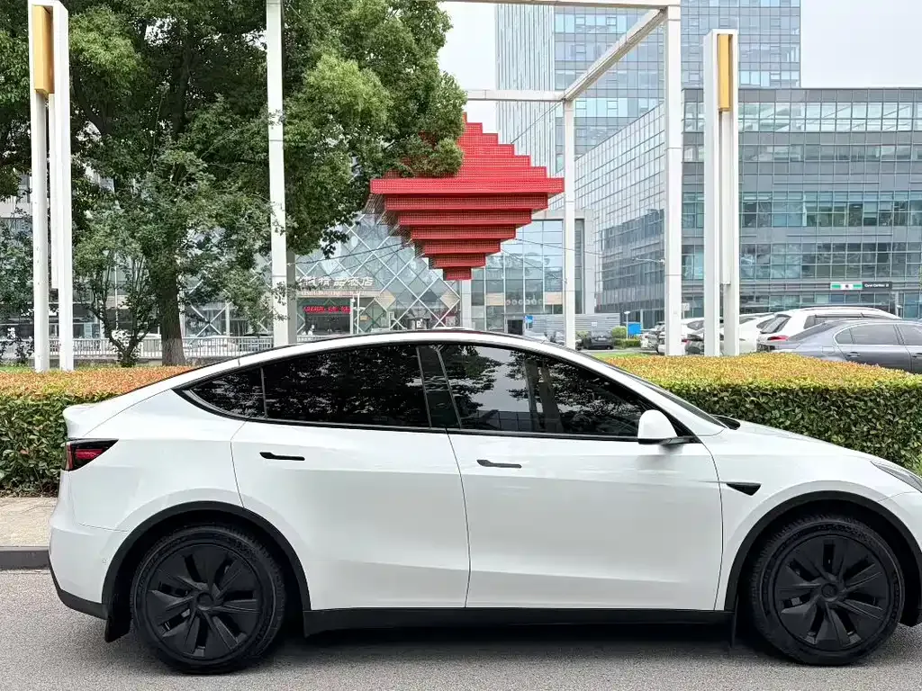 Tesla Model Y — фото 2