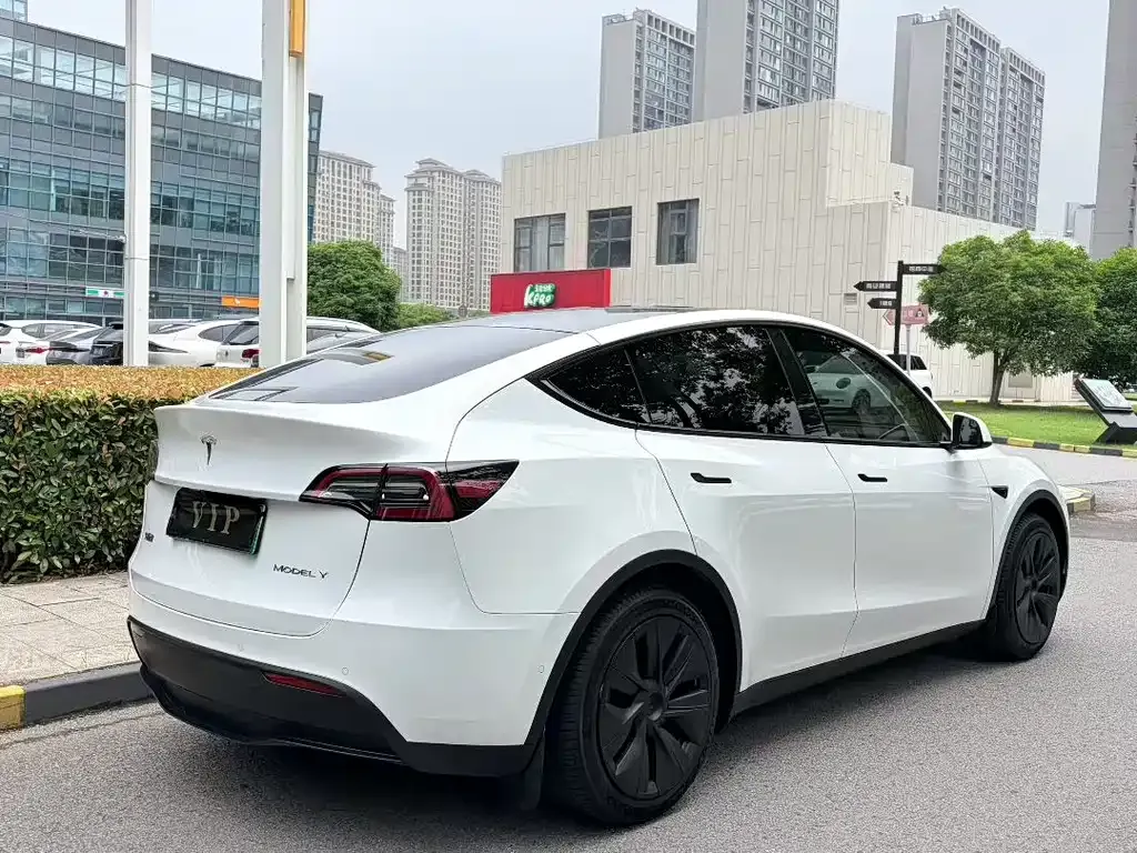 Tesla Model Y — фото 3