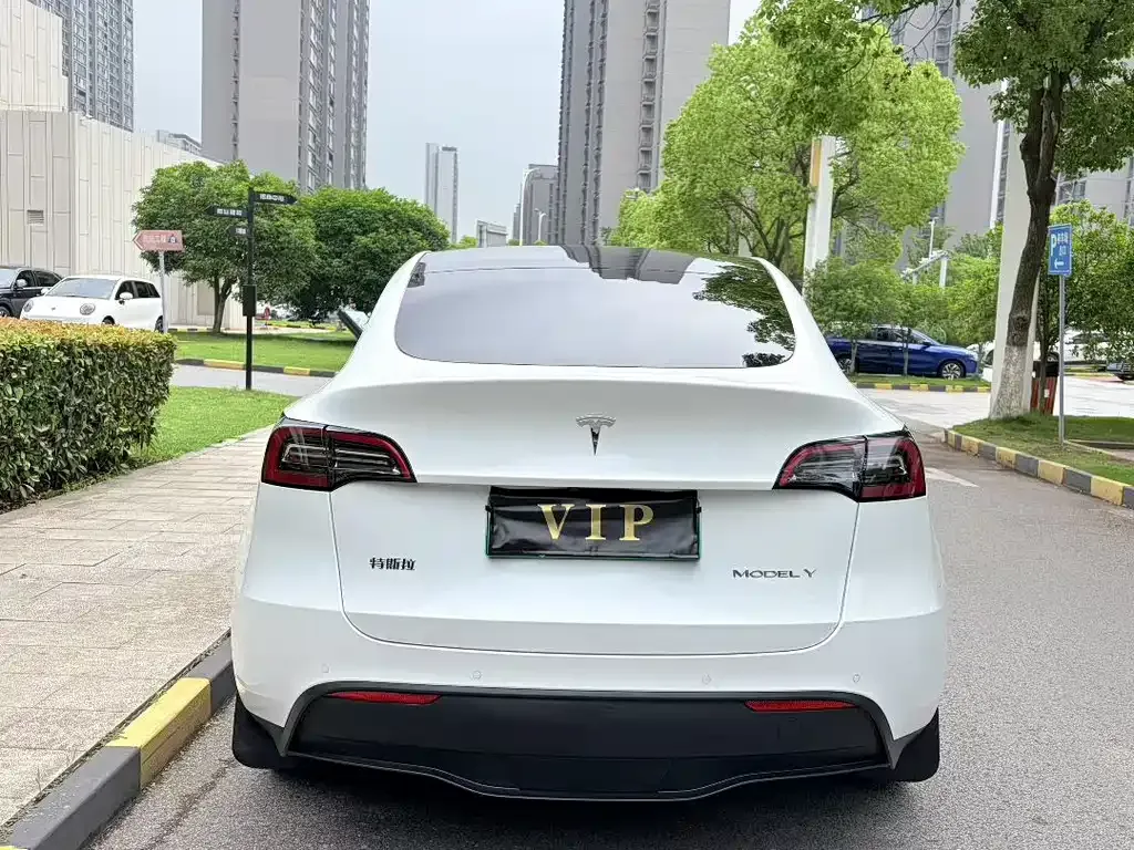 Tesla Model Y — фото 9
