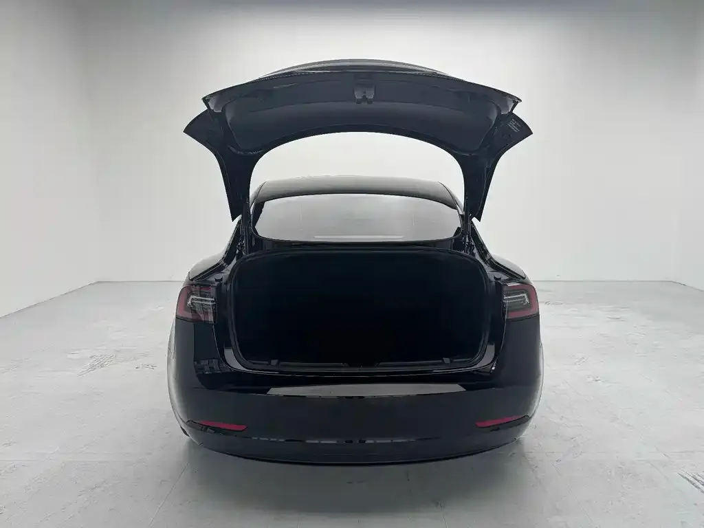 Tesla Model 3 — фото 3