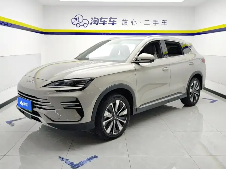 BYD PLUS New Energy — фото 1