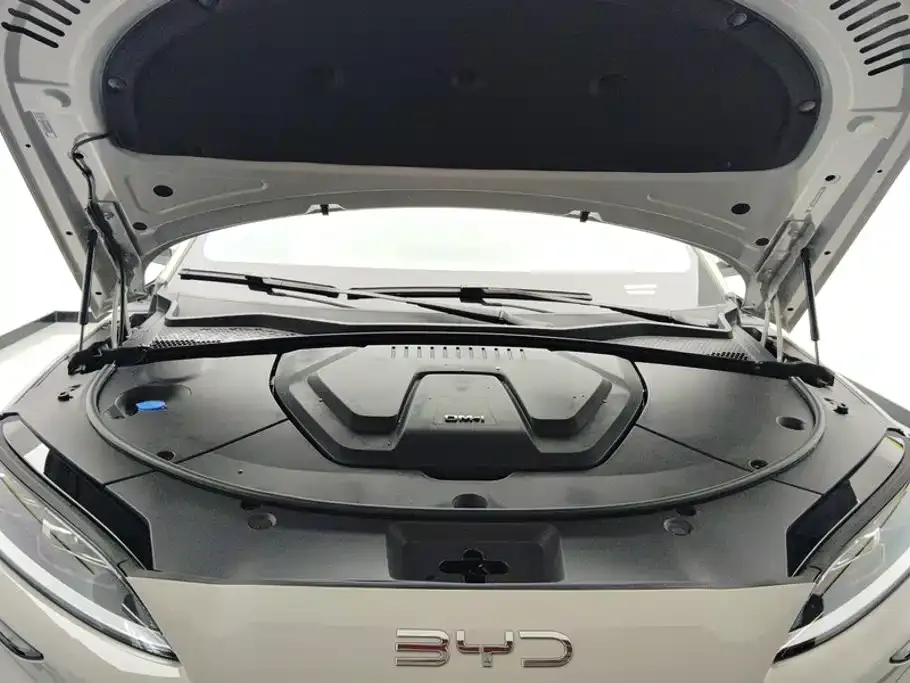BYD PLUS New Energy — фото 4
