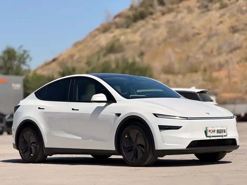 Tesla Model Y — фото 5