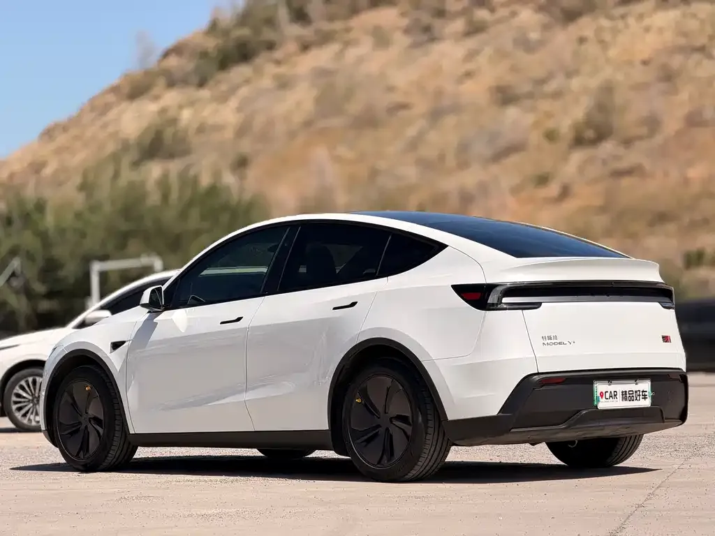Tesla Model Y — фото 8