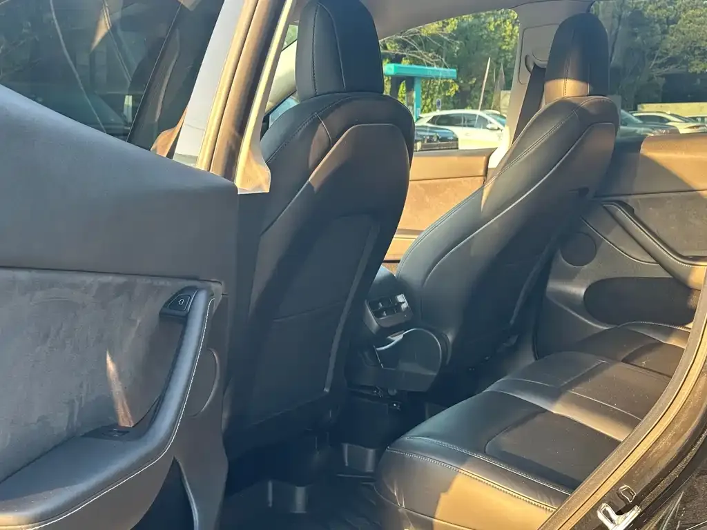 Tesla Model Y 2021 из CN, фото 6