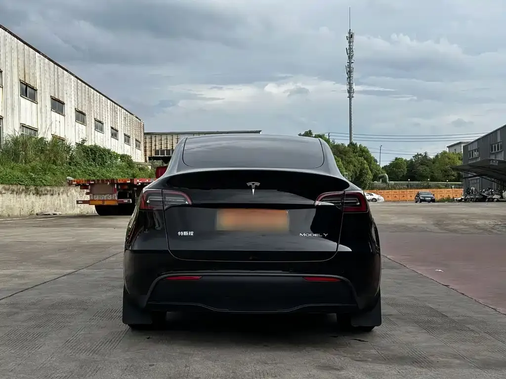 Tesla Model Y — фото 9