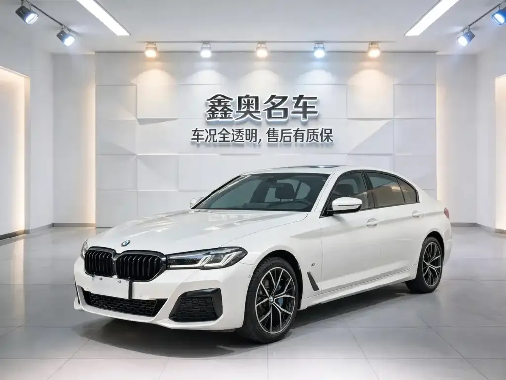 BMW 5 Series — фото 1