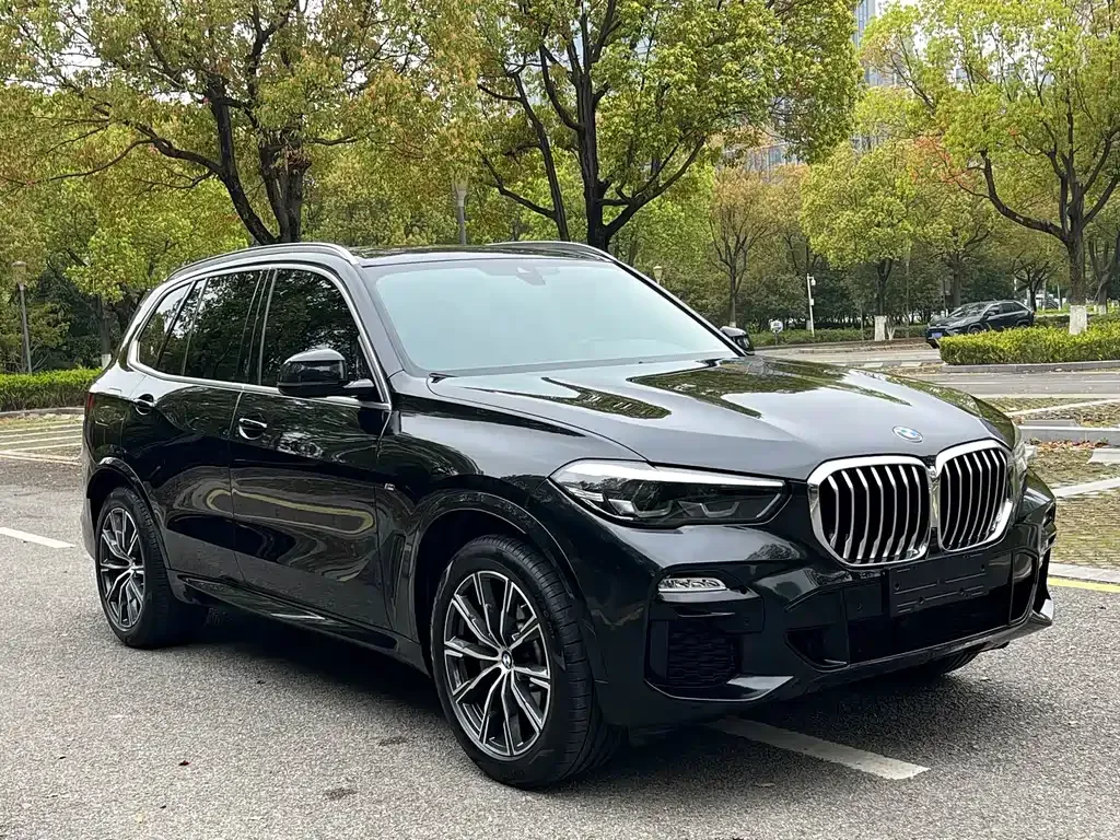 BMW X5 (Import) — фото 9