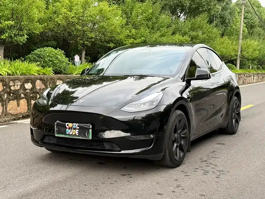 Tesla Model Y — фото 1