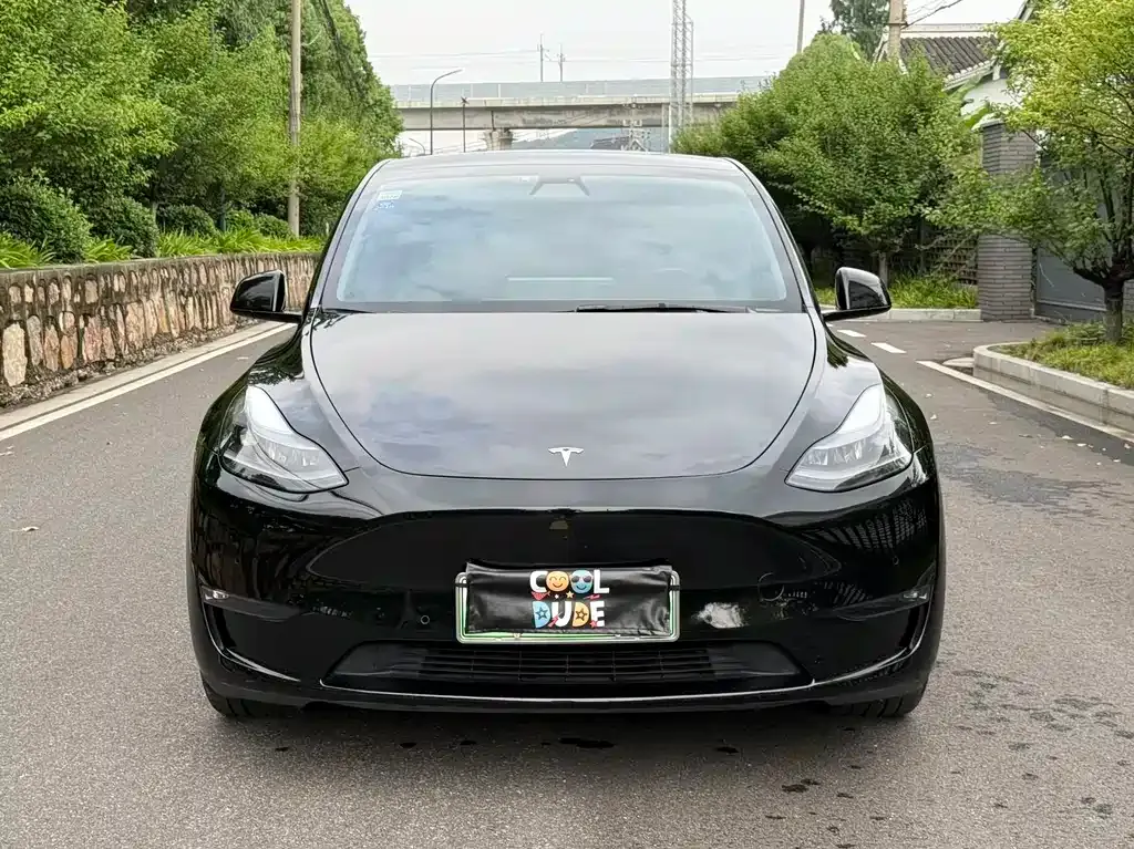 Tesla Model Y — фото 4