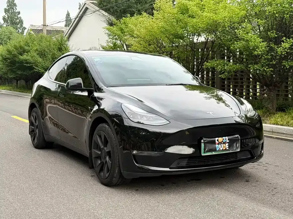 Tesla Model Y — фото 9