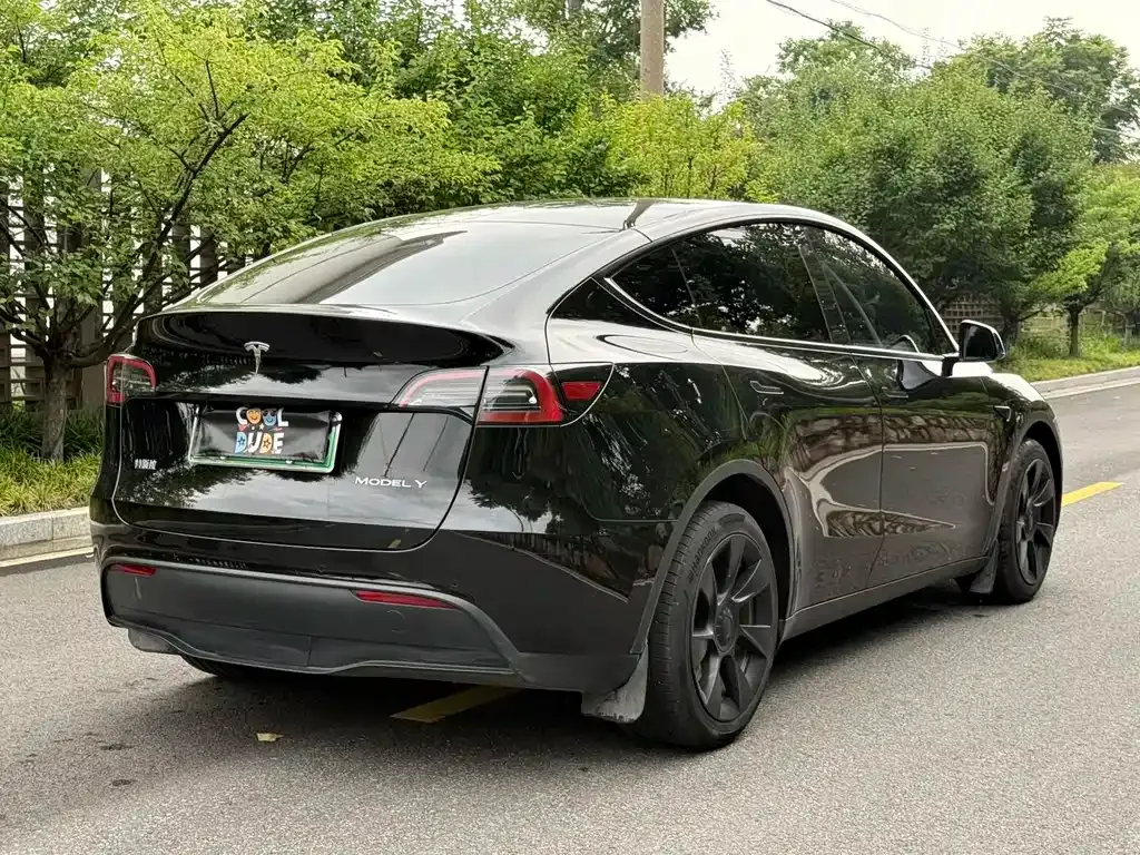 Tesla Model Y — фото 8