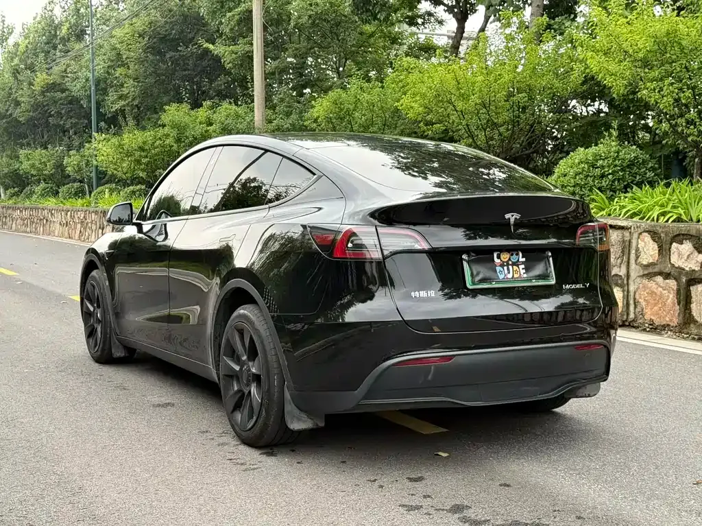 Tesla Model Y — фото 7