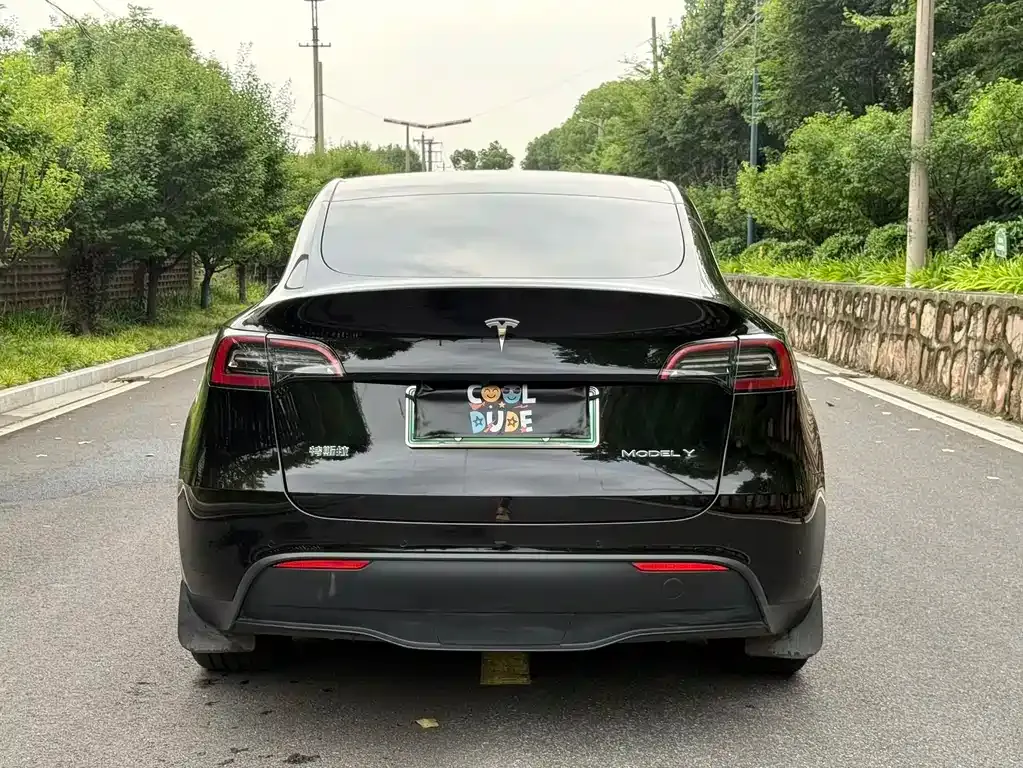 Tesla Model Y — фото 5