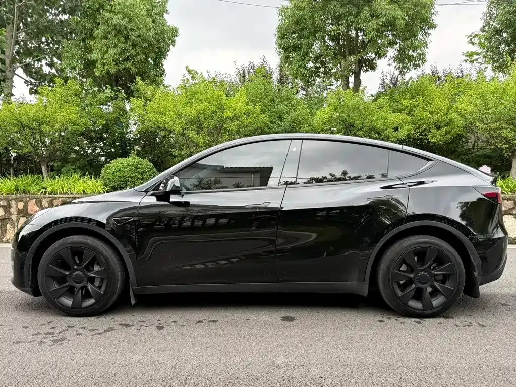 Tesla Model Y — фото 10