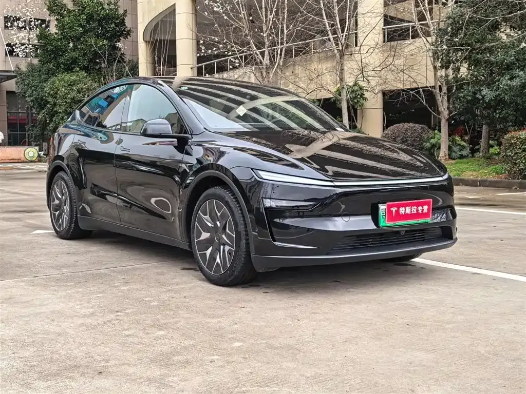 Tesla Model Y L 2025 из CN, фото 7