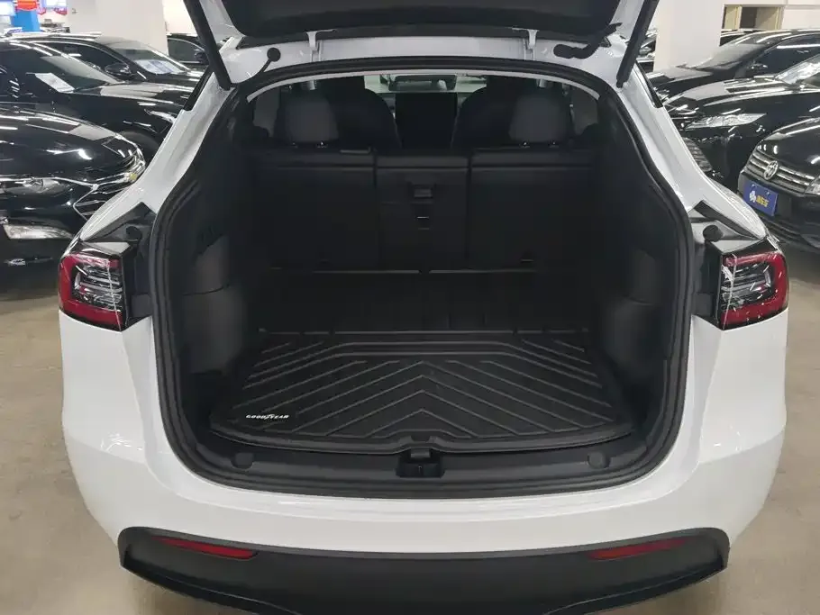 Tesla Model Y — фото 6