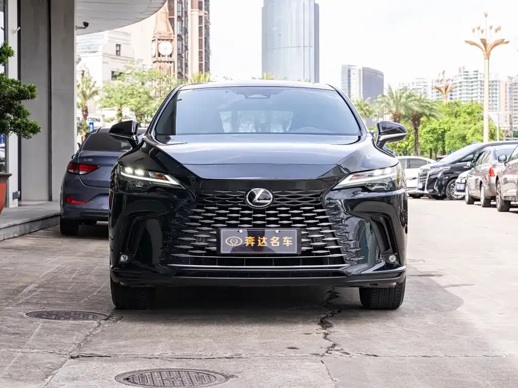 Lexus RX — фото 10