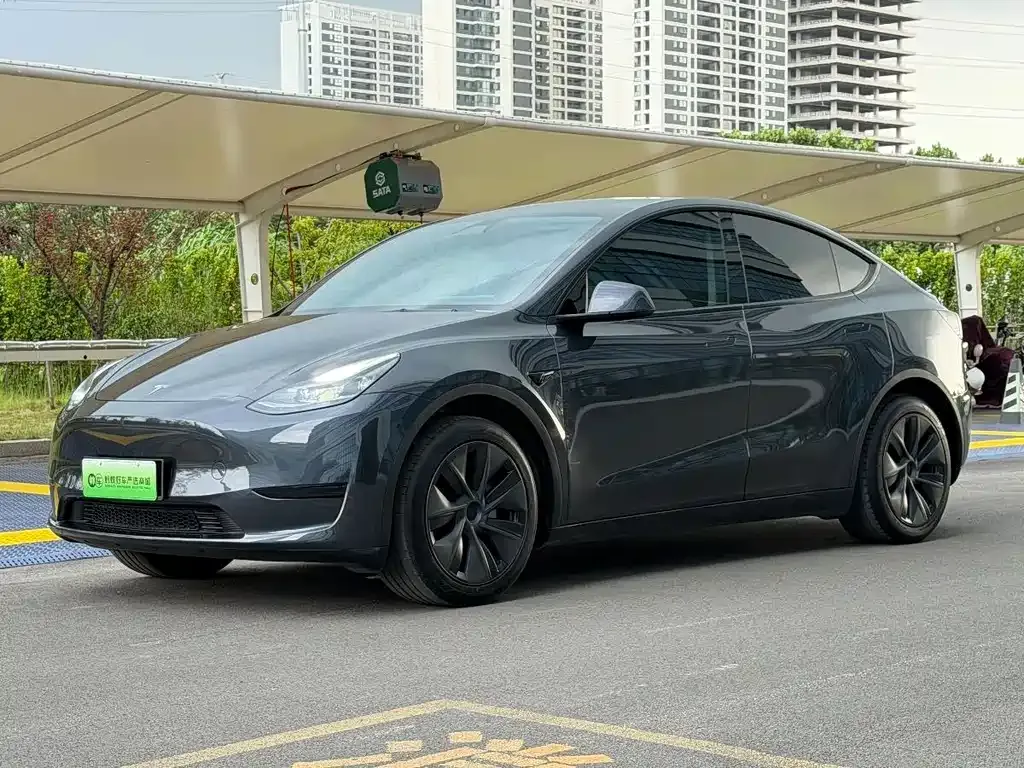 Tesla Model Y — фото 1