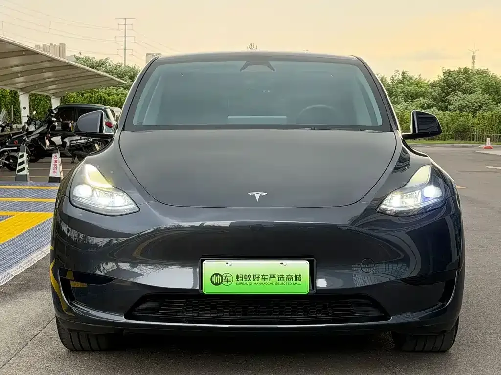 Tesla Model Y — фото 10
