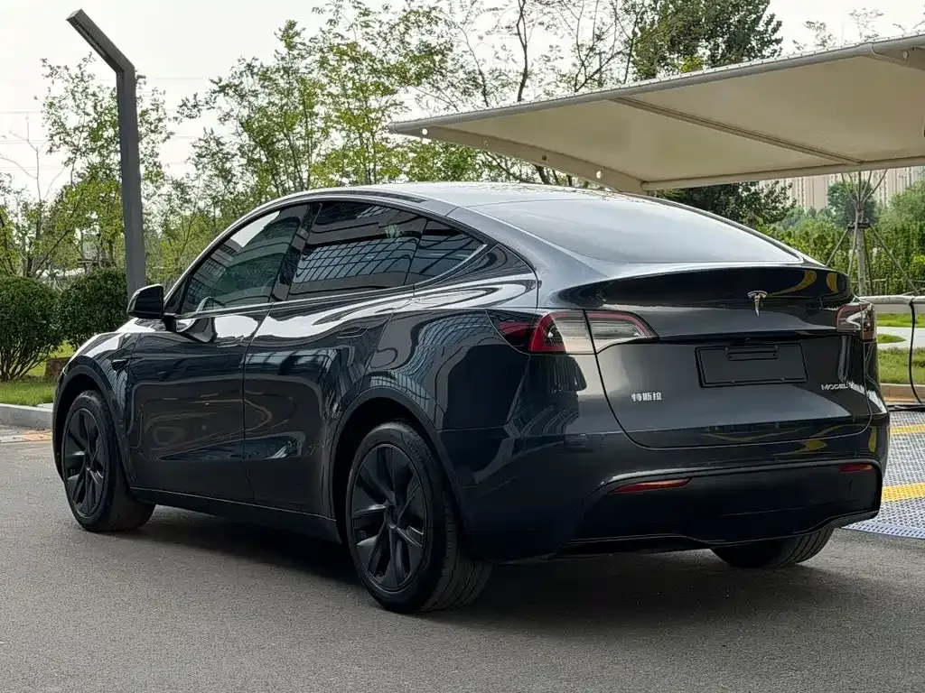 Tesla Model Y — фото 9