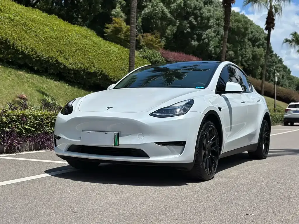 Tesla Model Y — фото 1