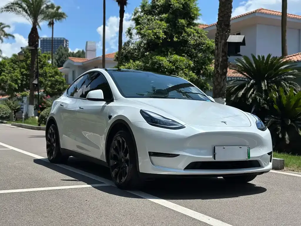 Tesla Model Y — фото 8
