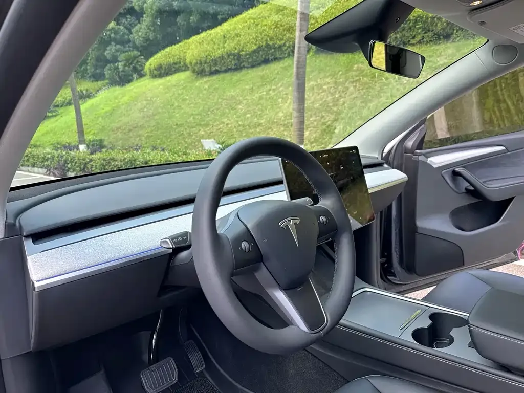 Tesla Model Y — фото 9