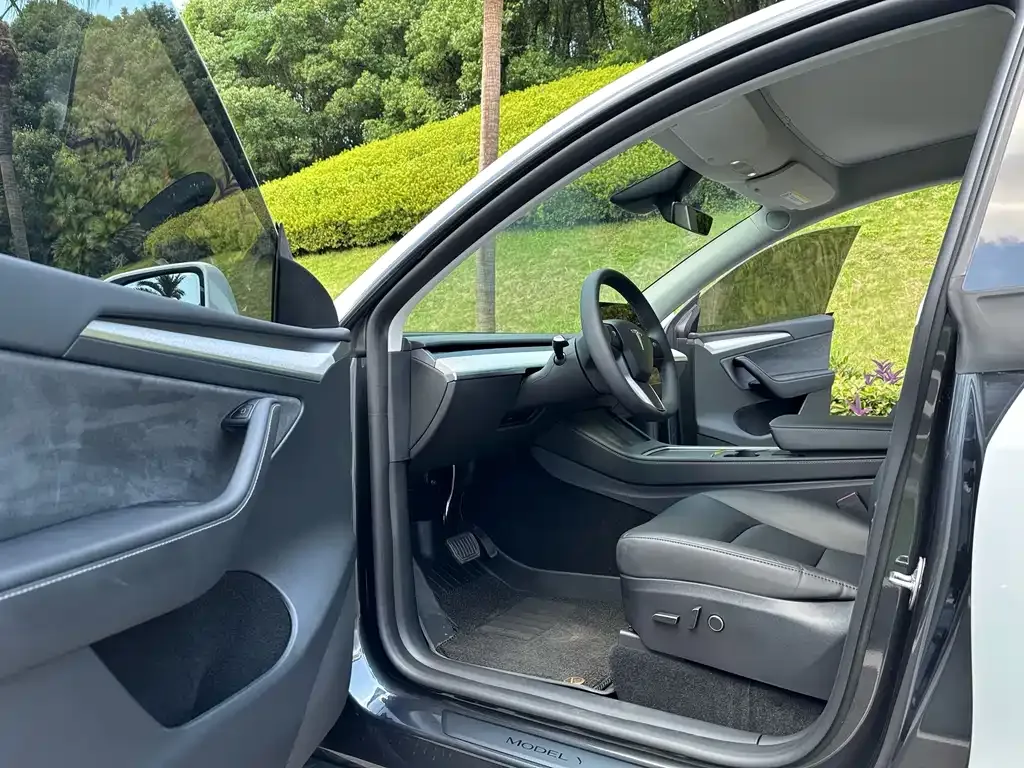 Tesla Model Y — фото 10