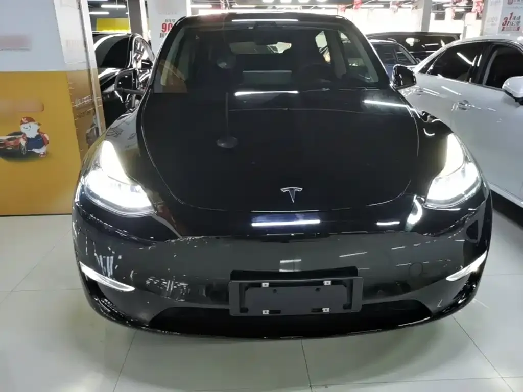Tesla Model Y — фото 2