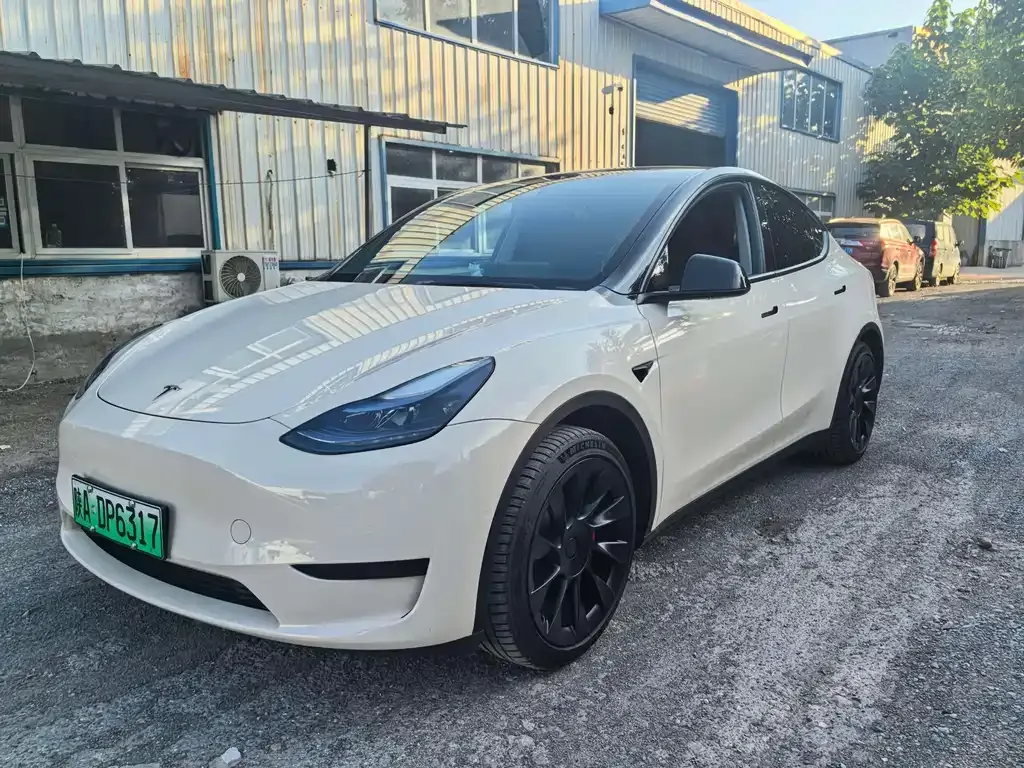 Tesla Model Y — фото 1
