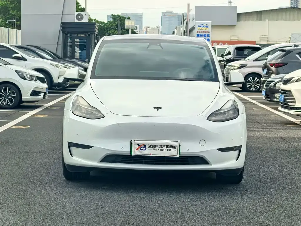 Tesla Model Y — фото 8